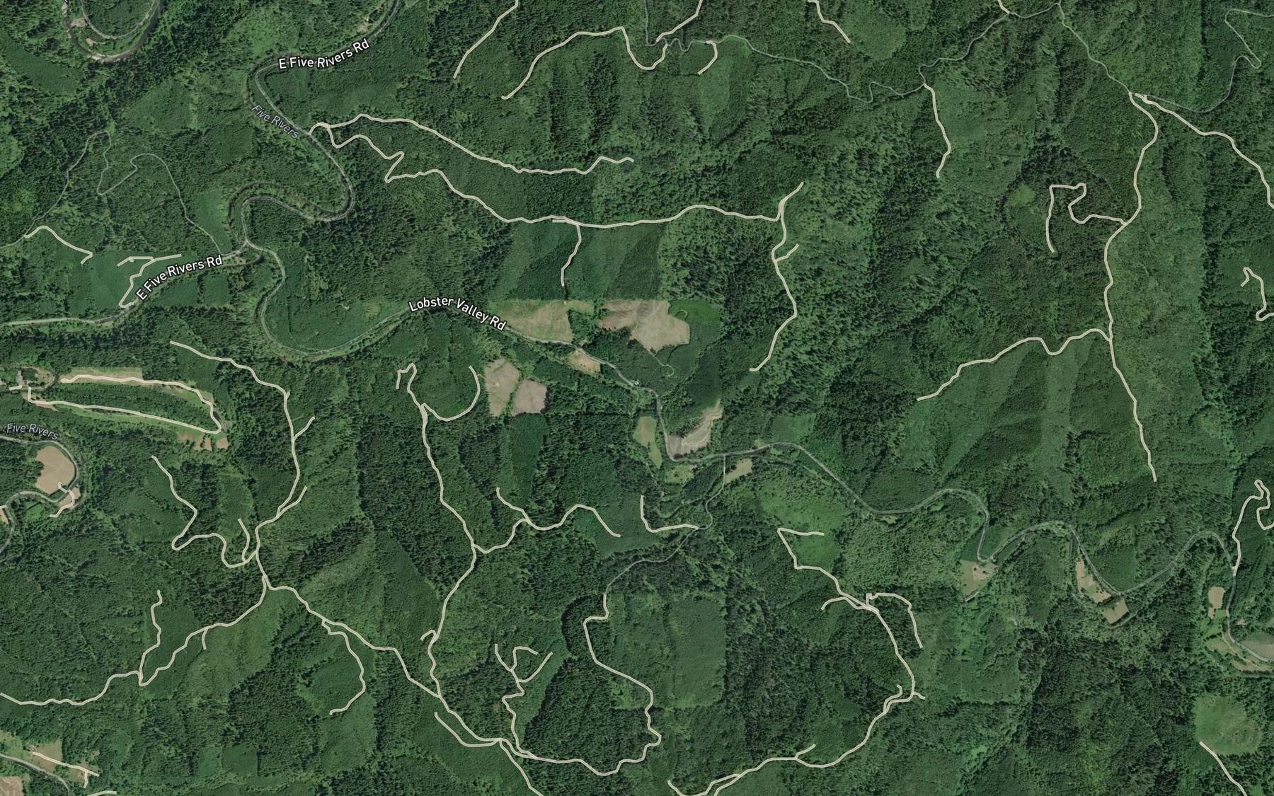 Satellite map of the Taylor Creek