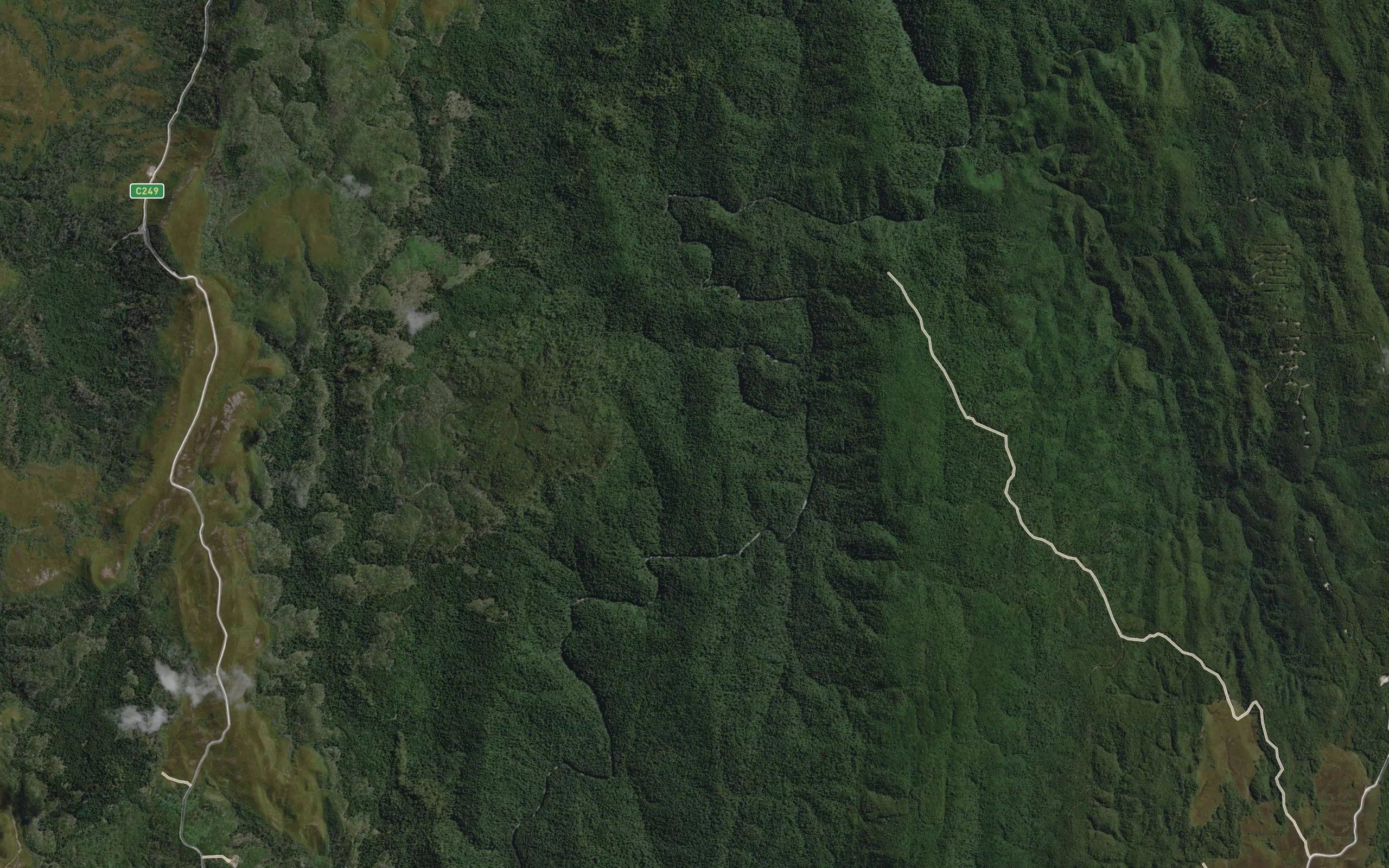 Longback Creek