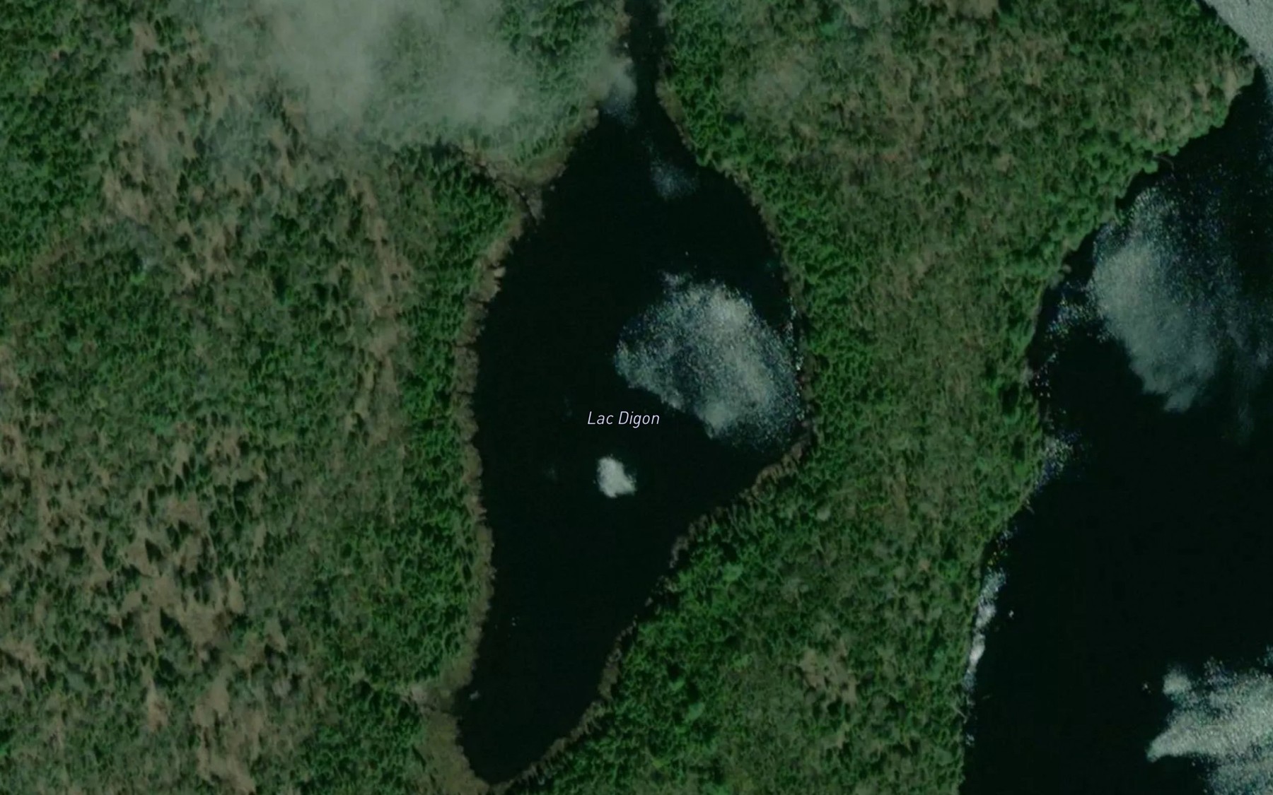 Satellite map of the Lac Digon