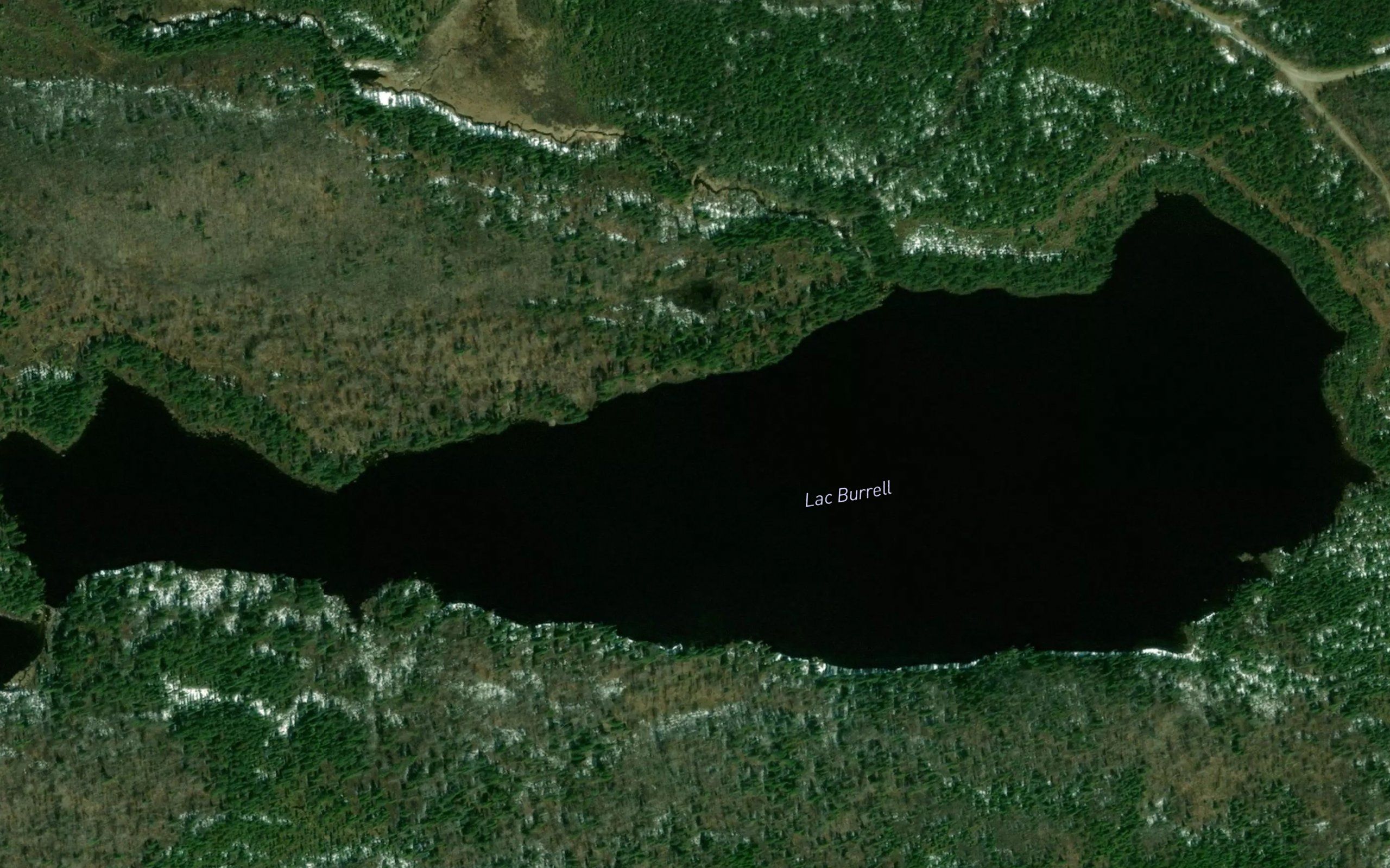 Lac Burrell