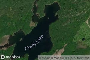 Firefly Creek