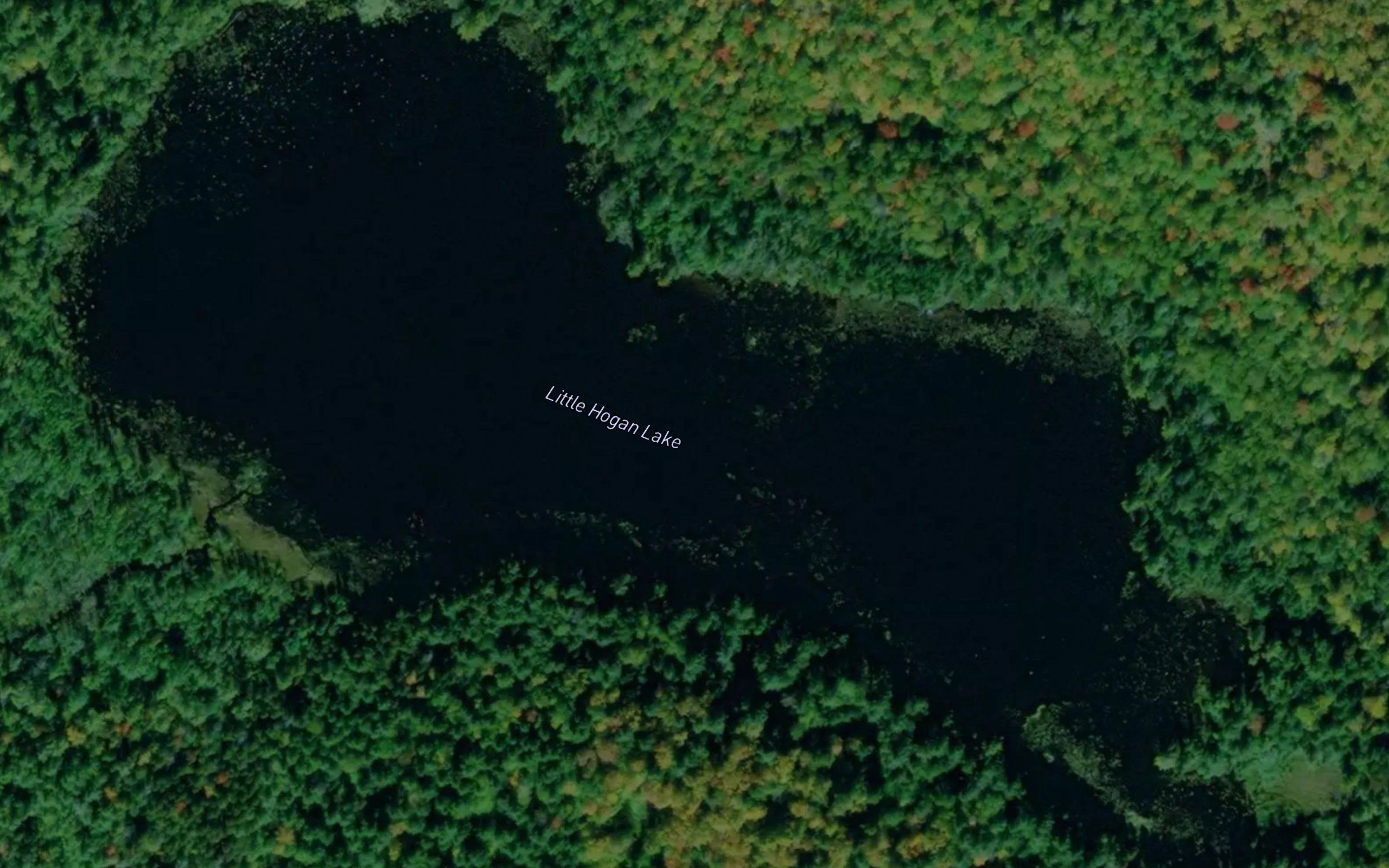 Little Hogan Lake