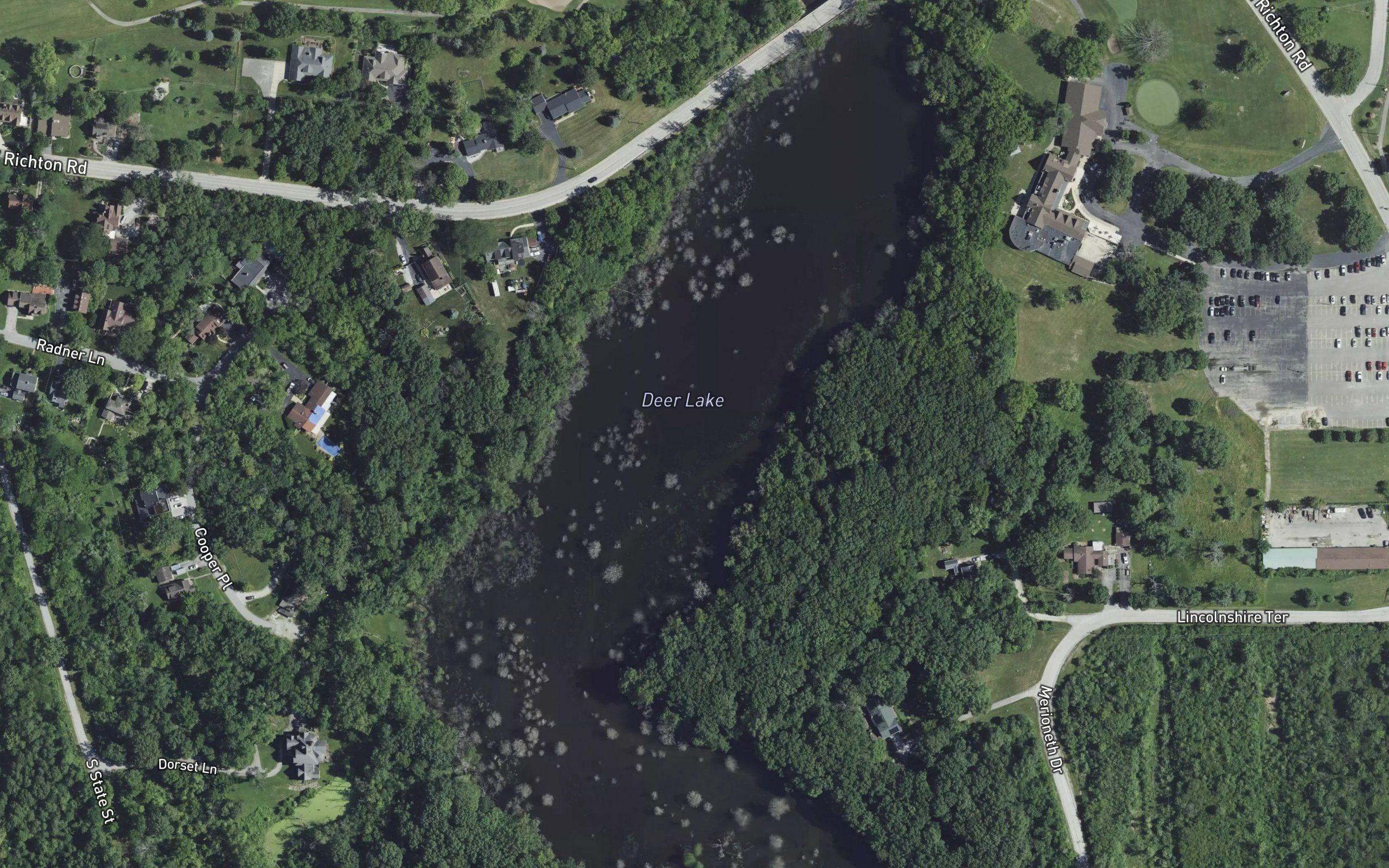 Deer Lake