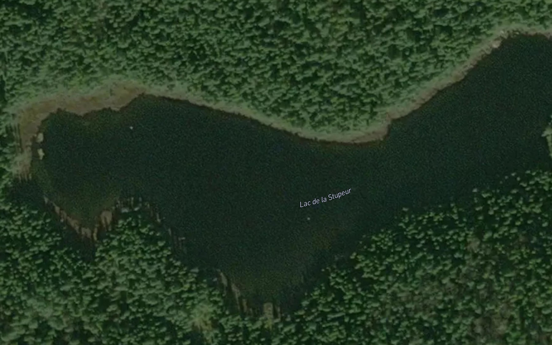 Satellite map of the Lac de la Stupeur