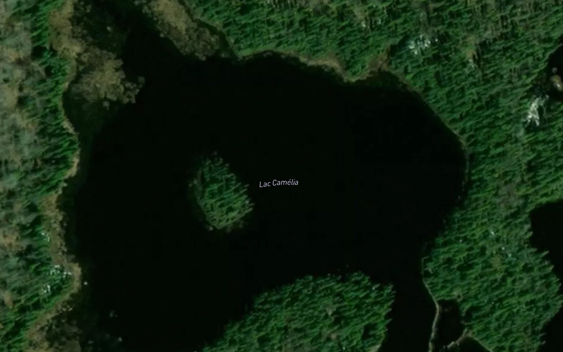 Satellite map of the Lac Camelia