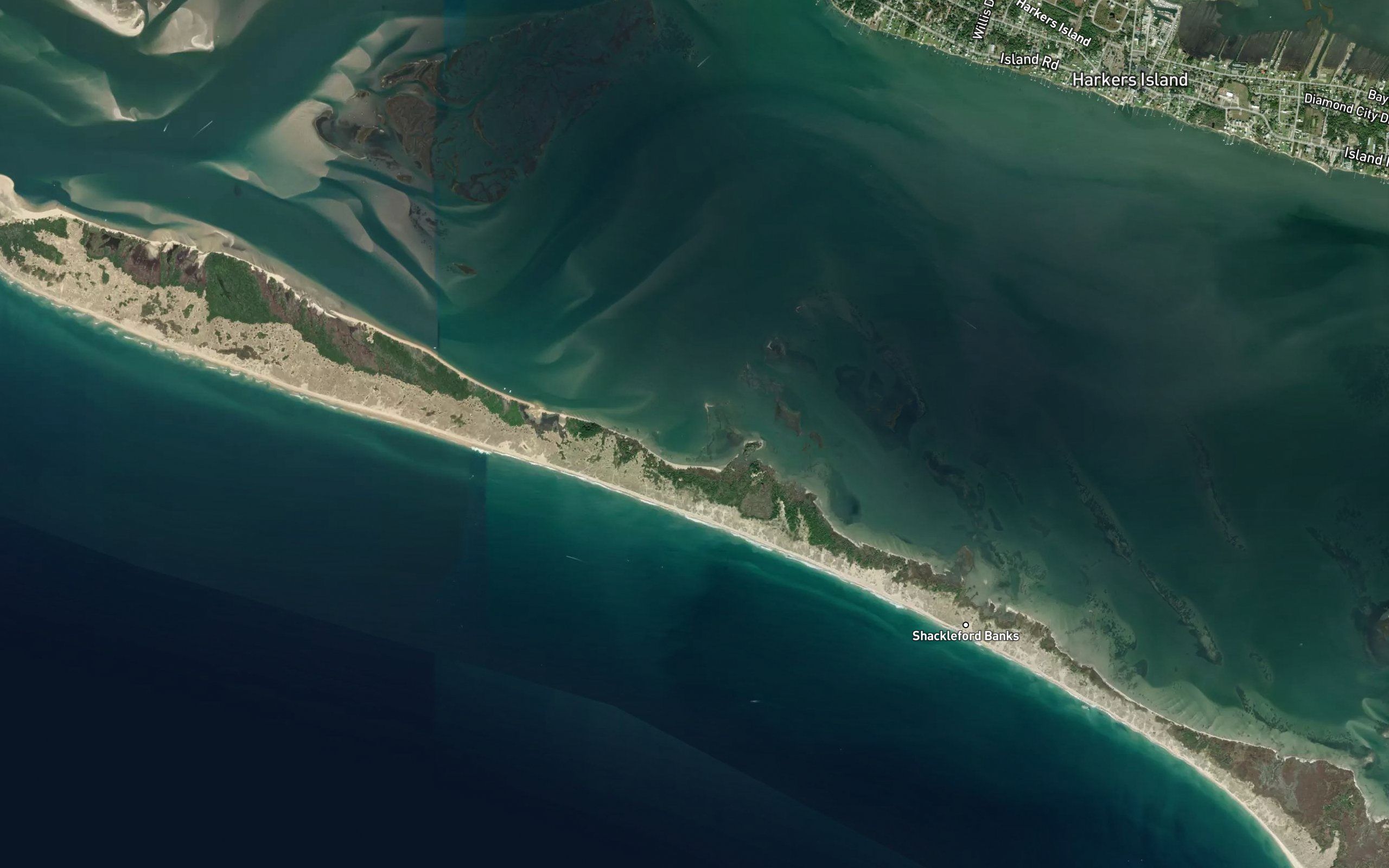 Whale Creek