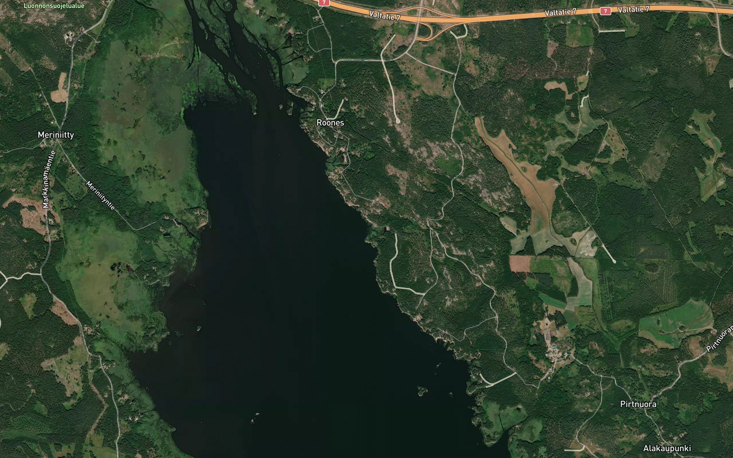 Ranasviken