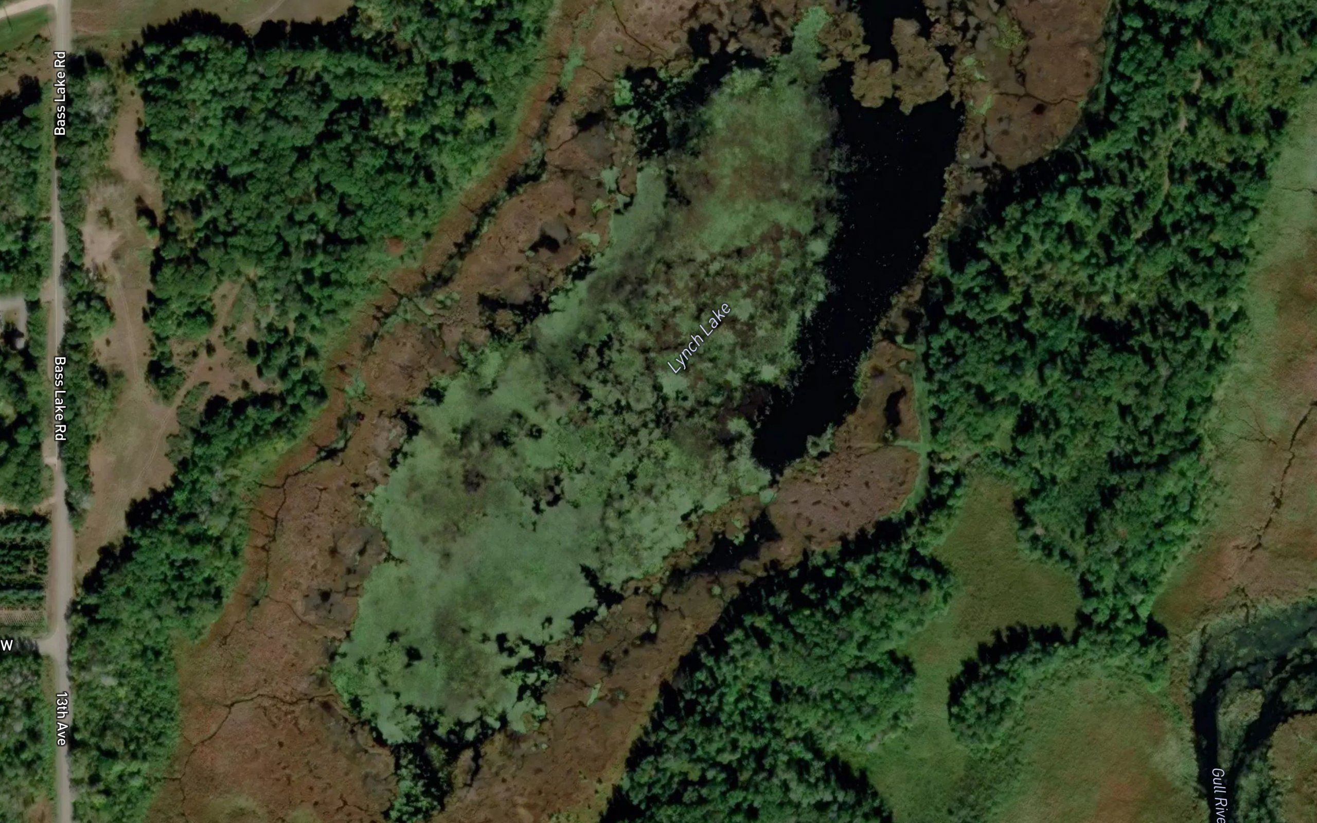 Lynch Lake