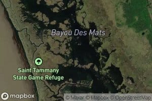 Bayou Des Mats