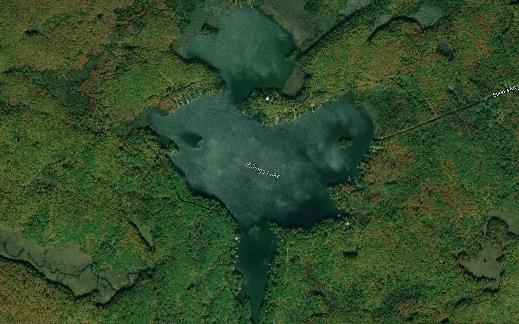 Satellite map of the Billings Lake