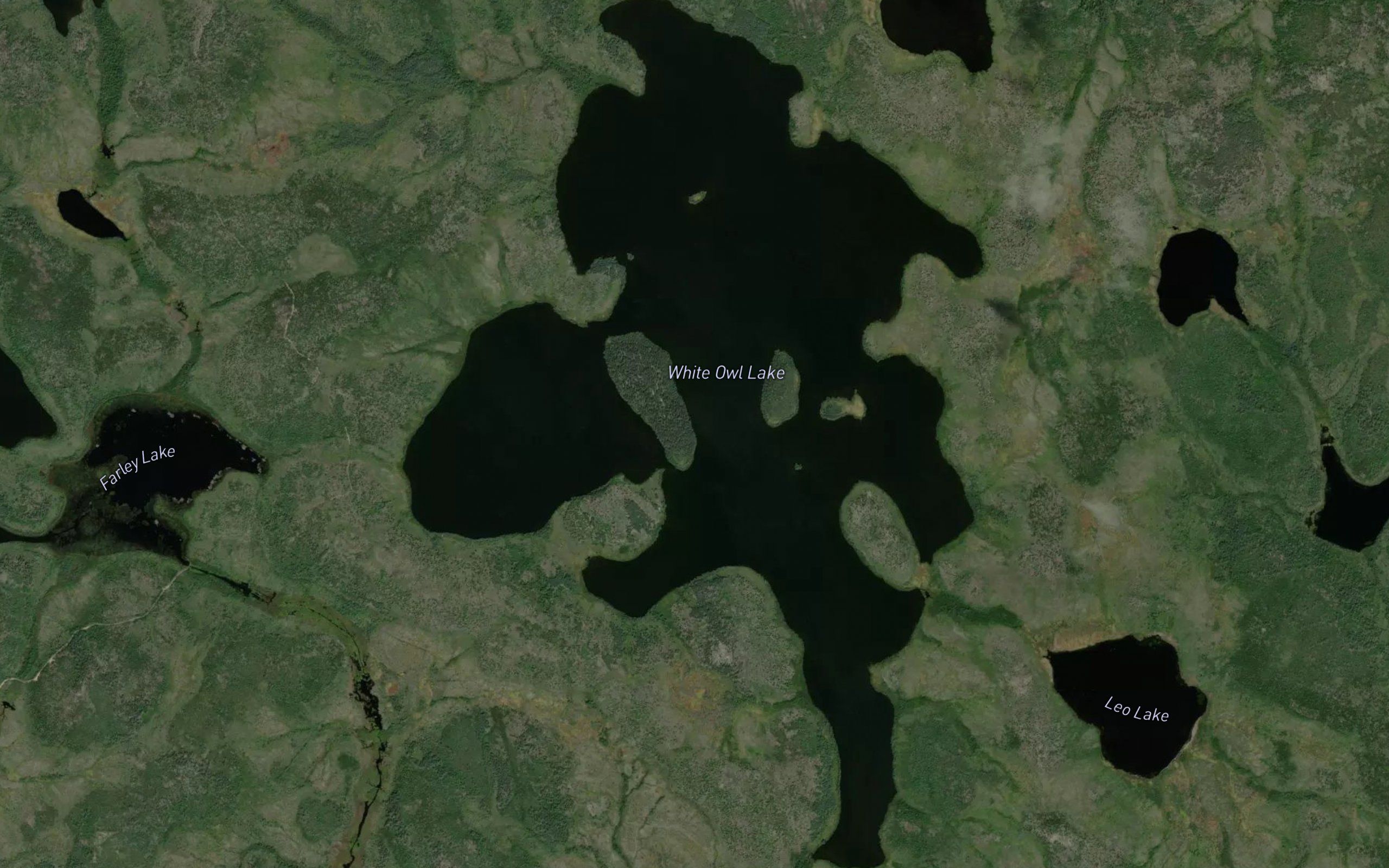White Owl Lake