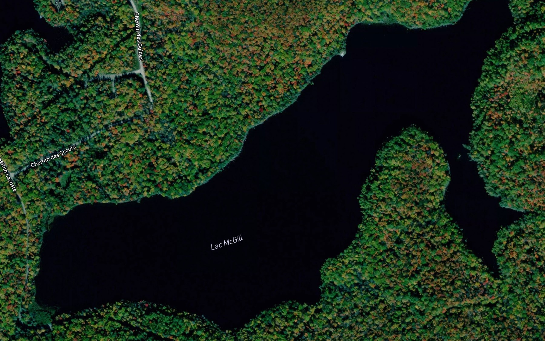 Satellite map of the Lac McGill