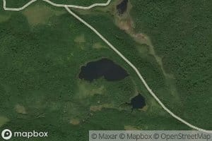 Lac Tetrodon