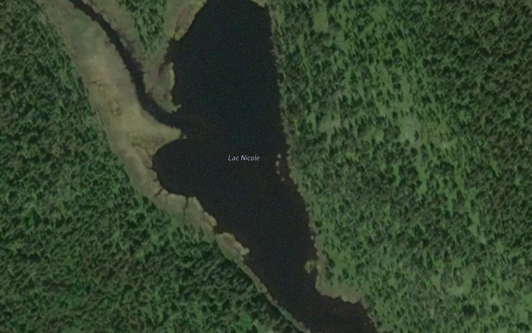 Satellite map of the Lac Nicole