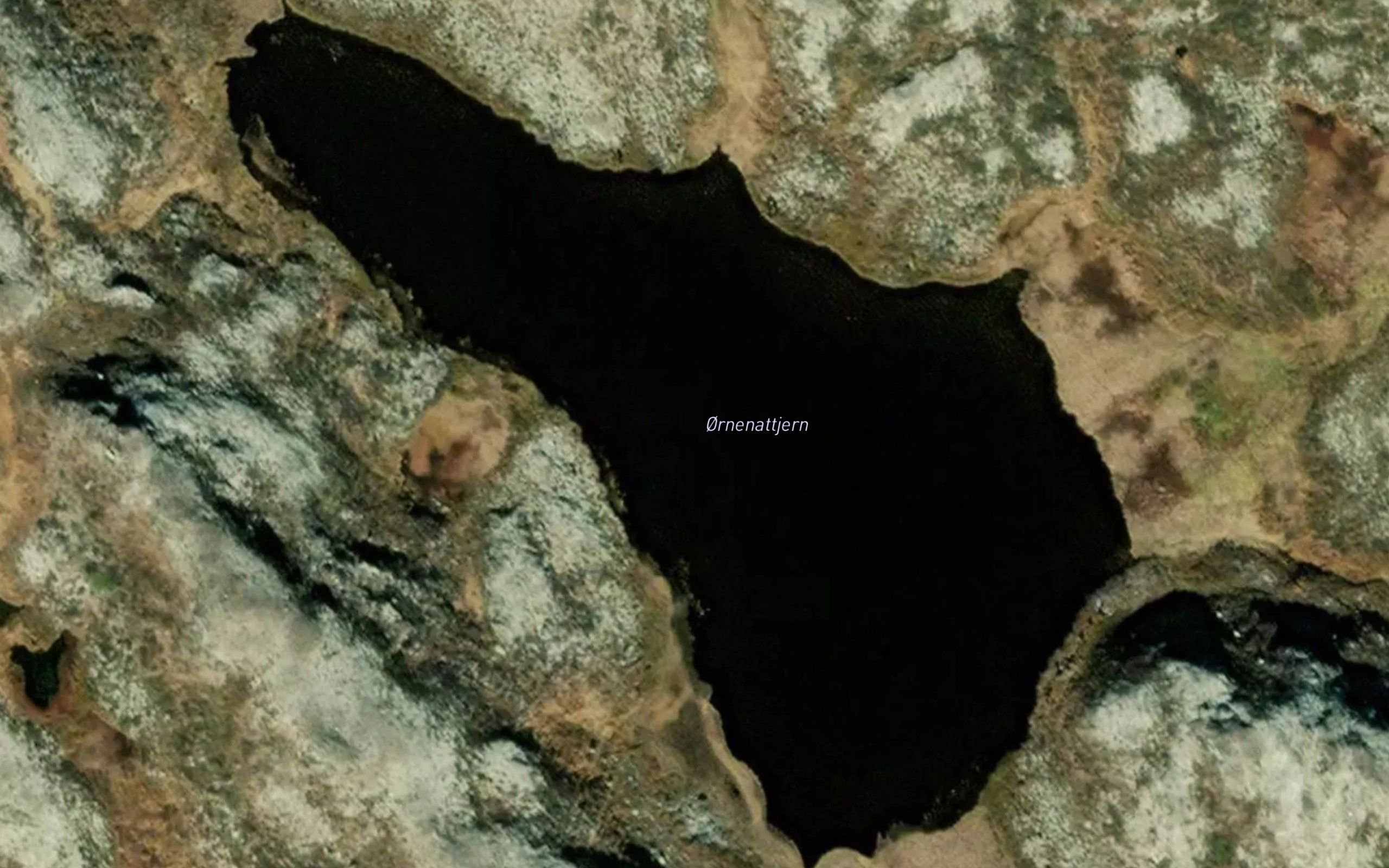 Ornenattjern