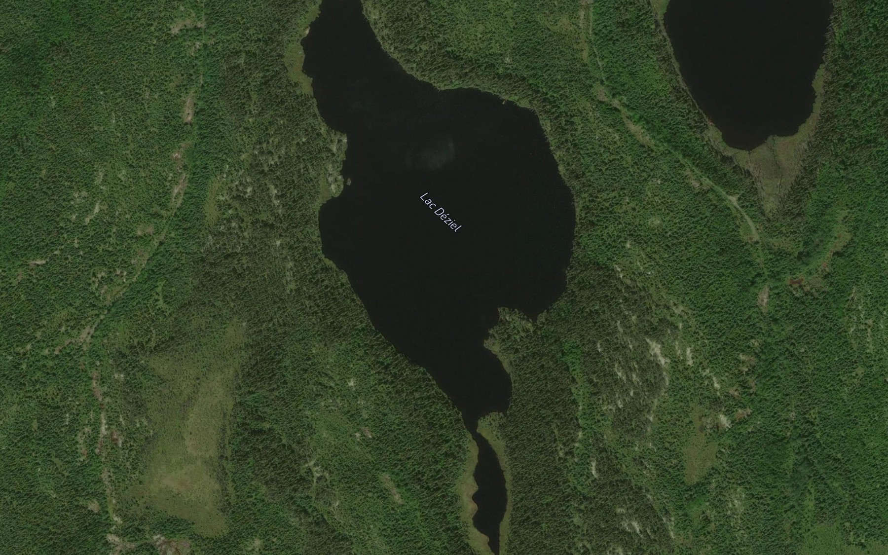 Satellite map of the Lac Deziel