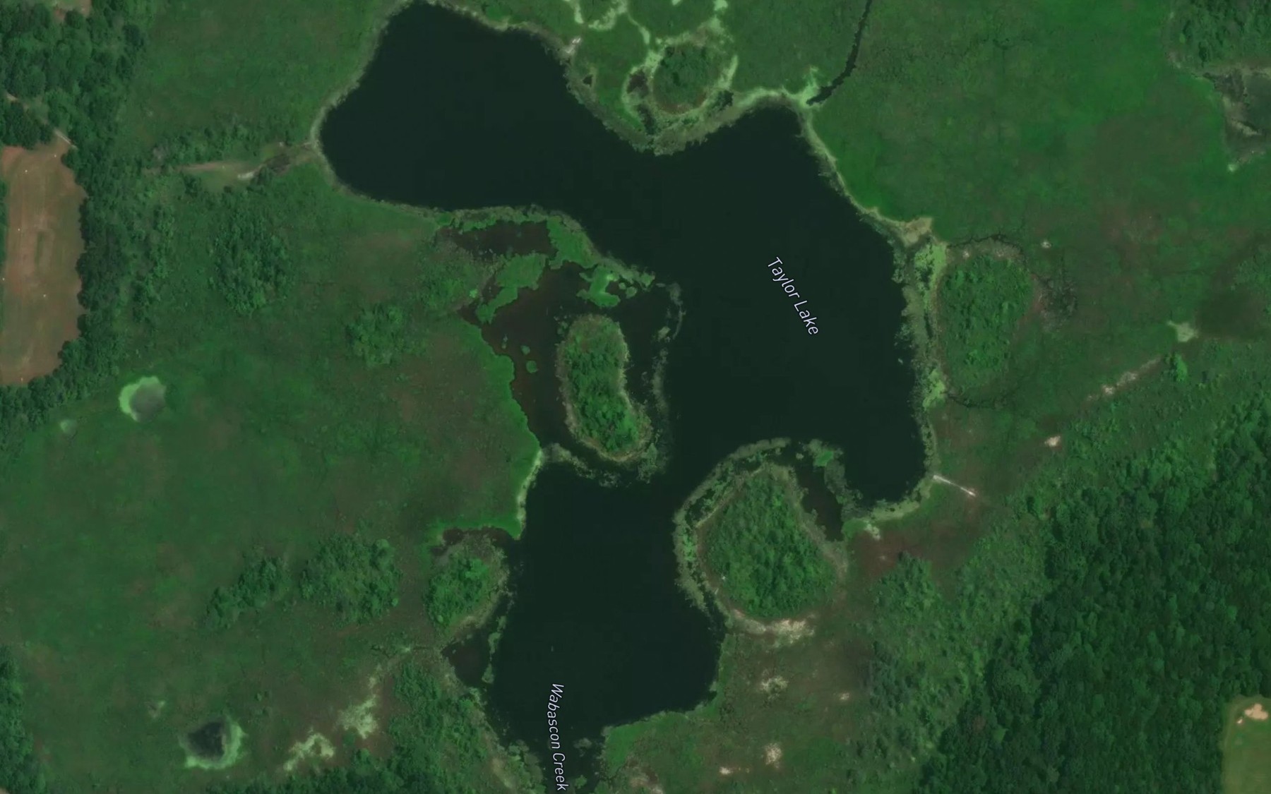 Satellite map of the Taylor Lake