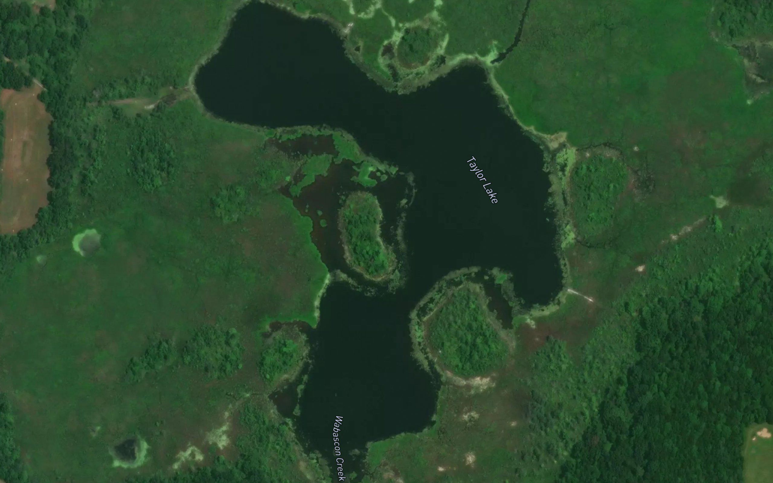 Taylor Lake