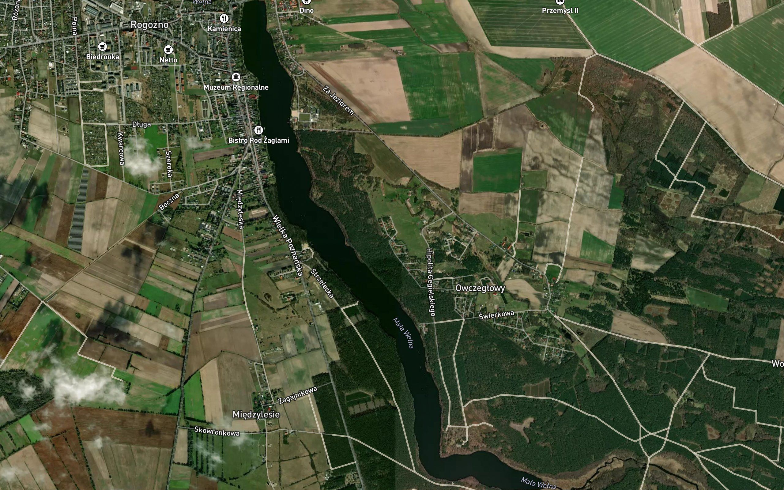 Jezioro Rogozno