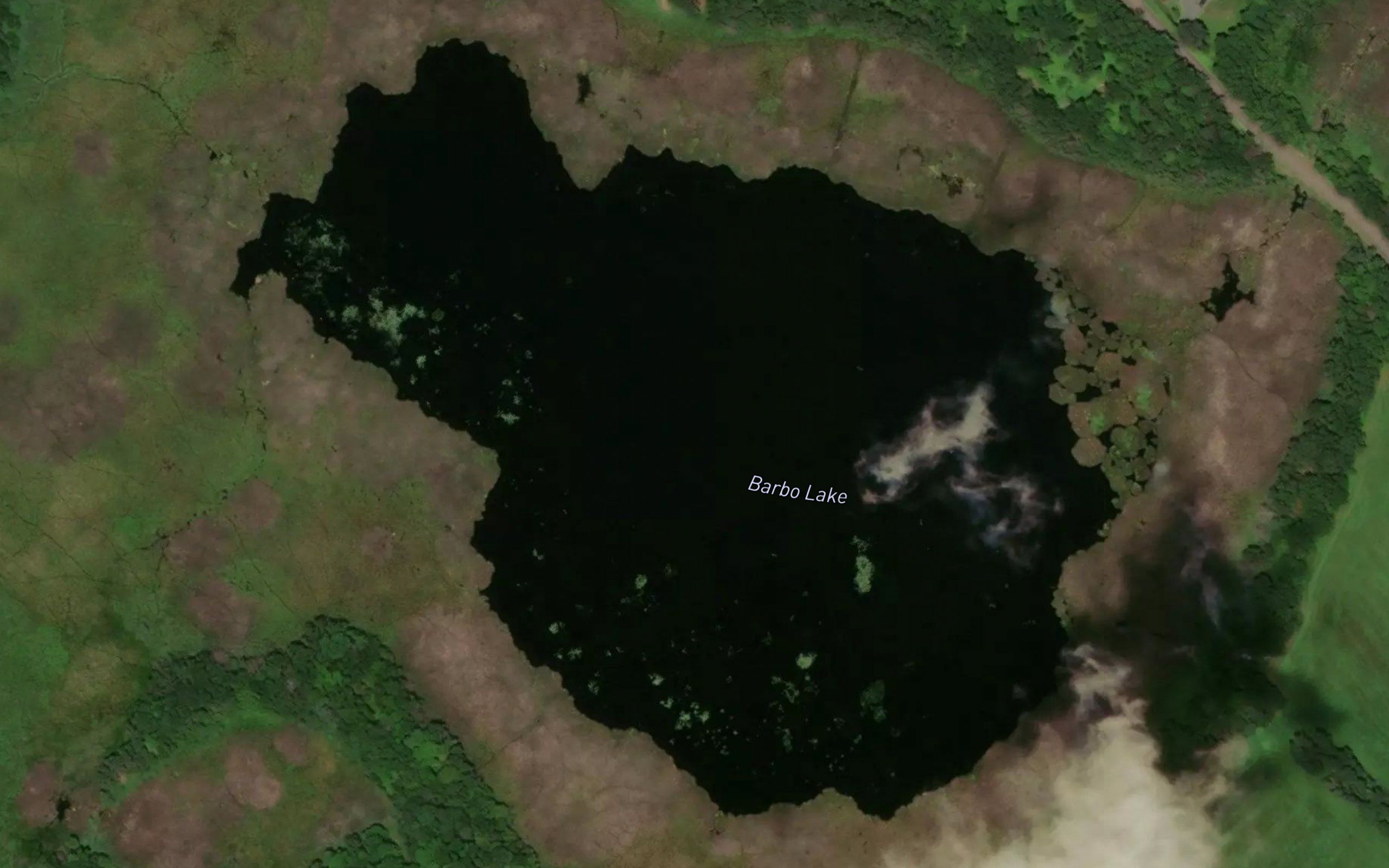 Barbo Lake