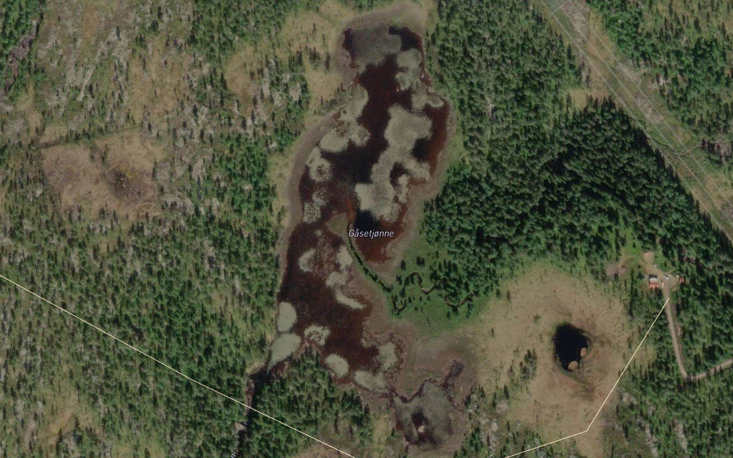 Gasetjorn