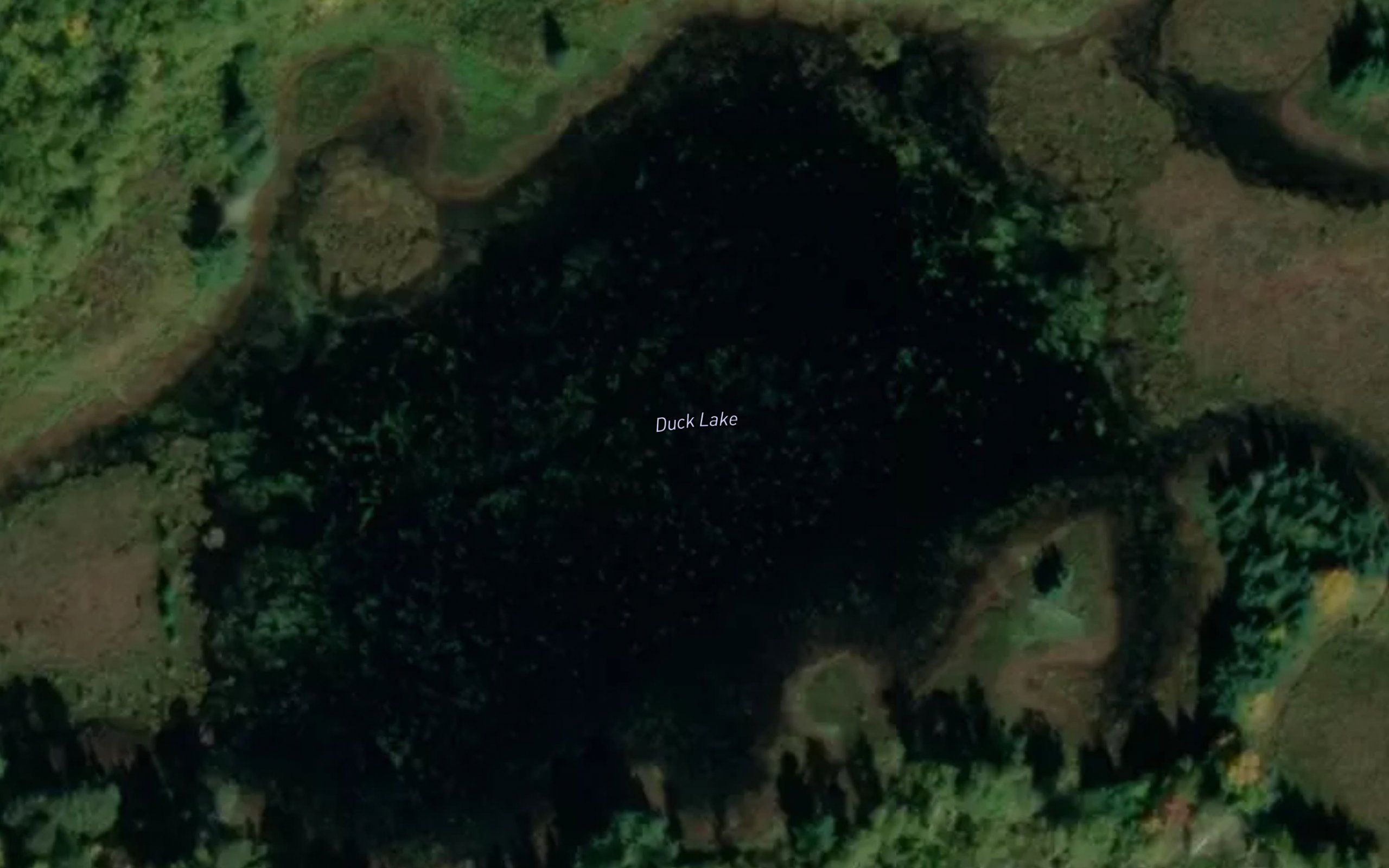 Duck Lake