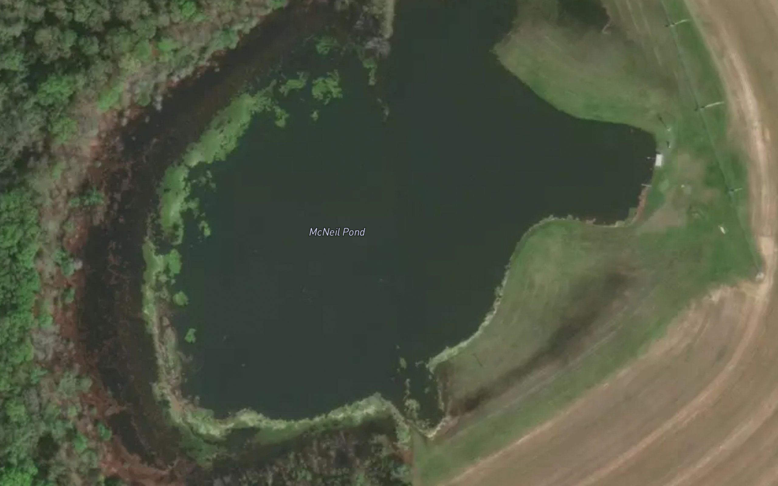 McNeil Pond