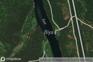 Bava
