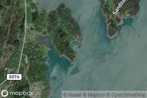 Klubbavika
