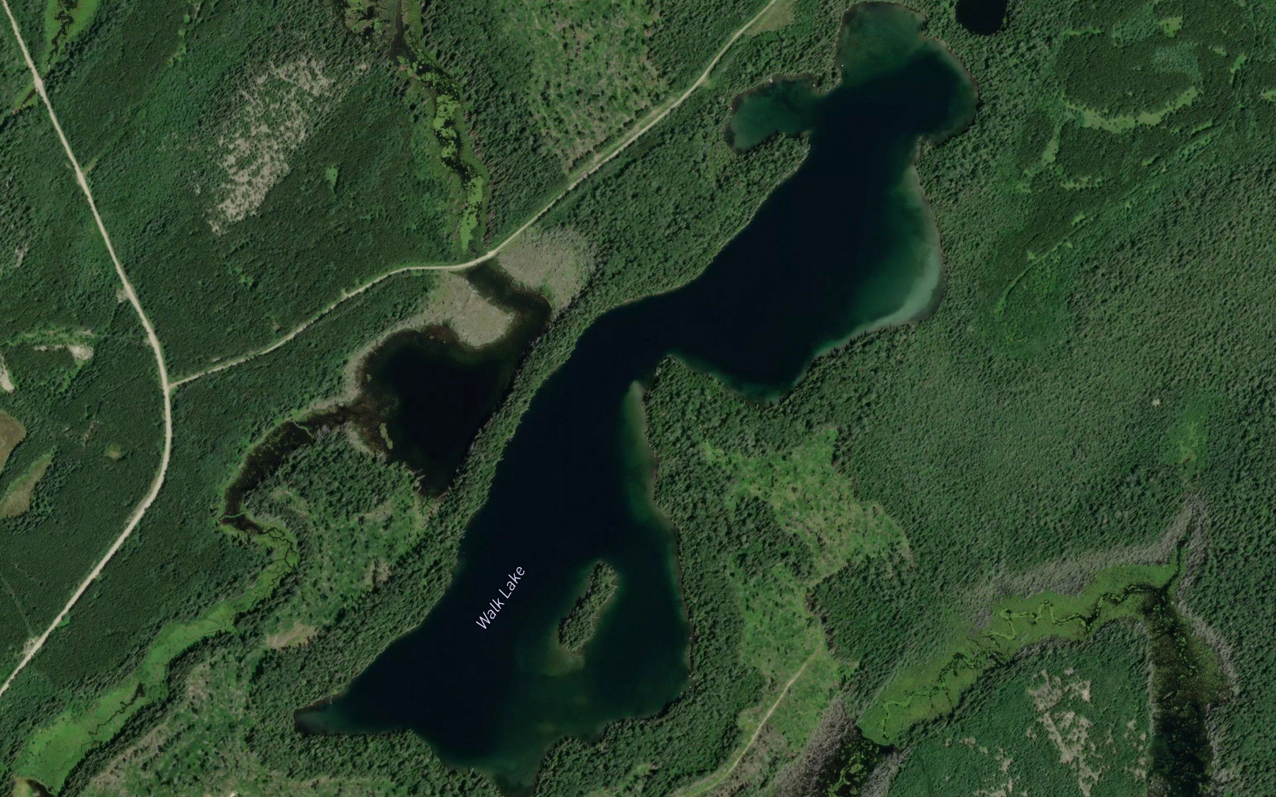 Walk Lake