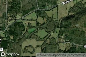 Ward Creek