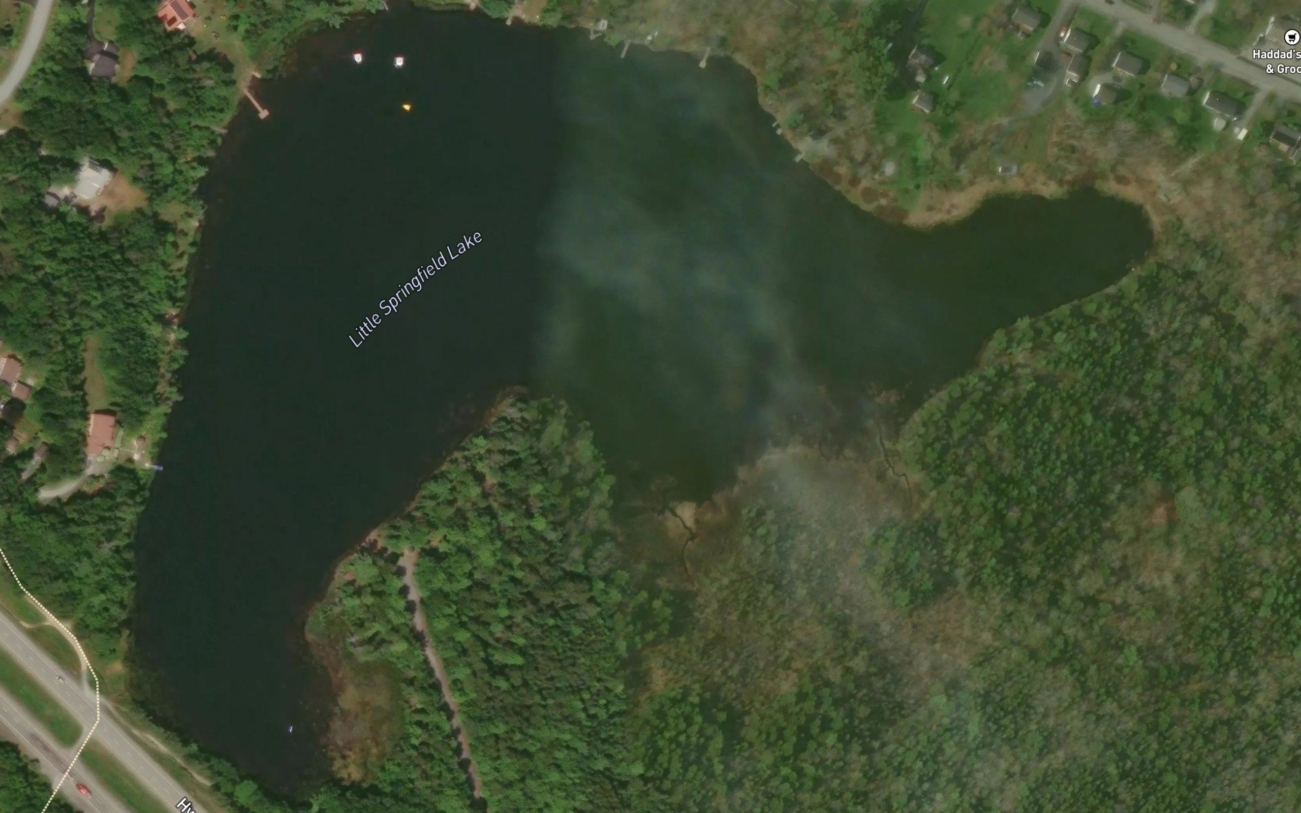 Little Springfield Lake
