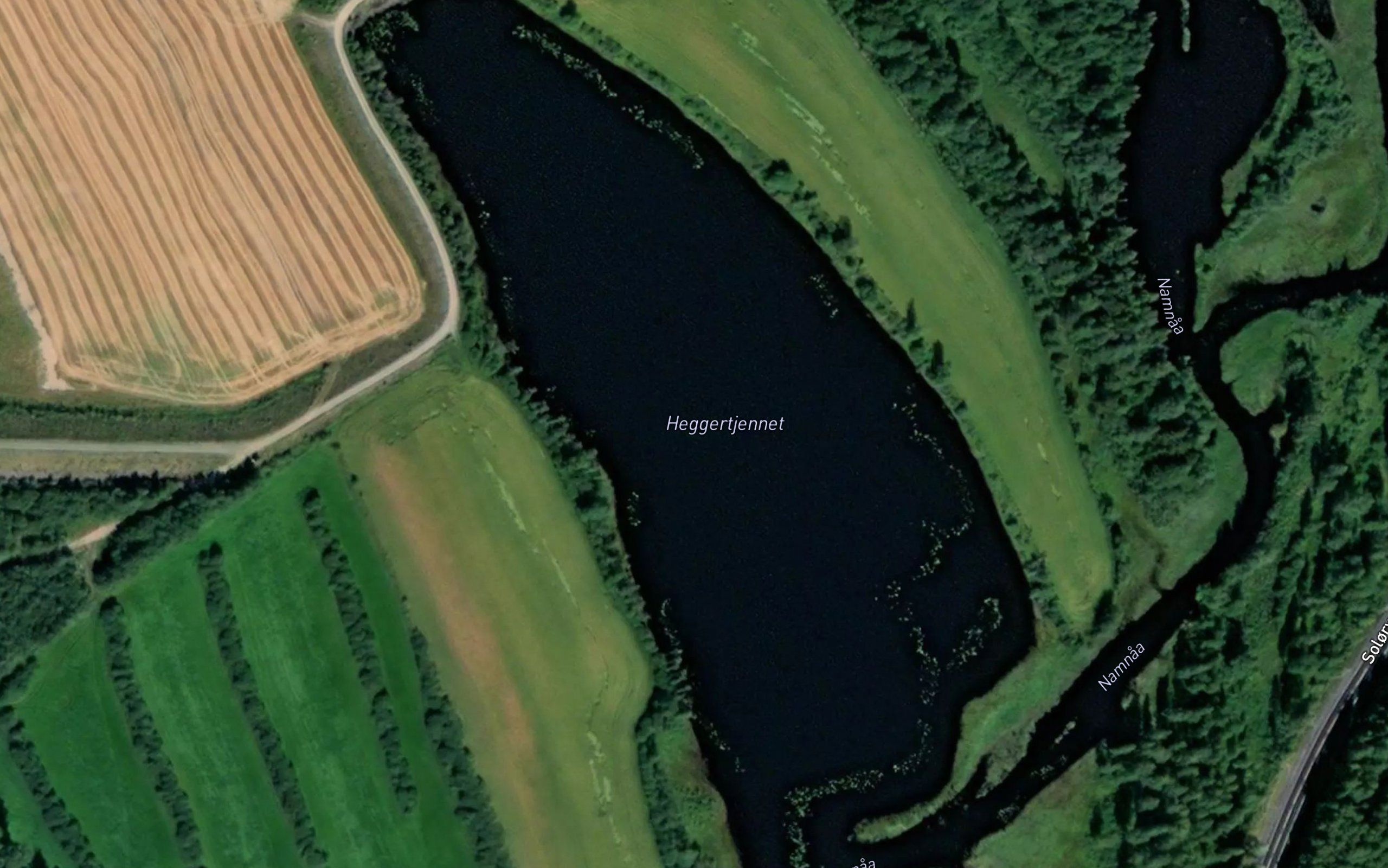 Heggertjennet