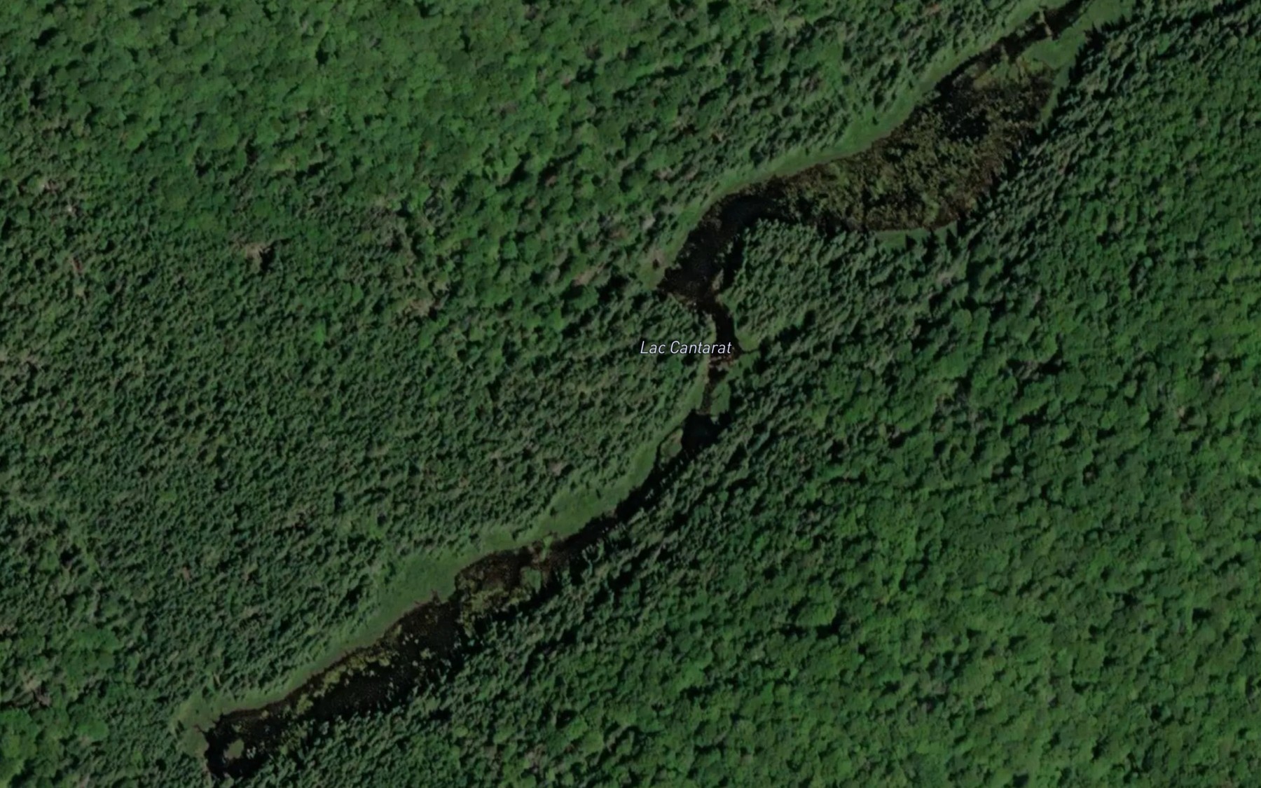 Satellite map of the Lac Cantarat