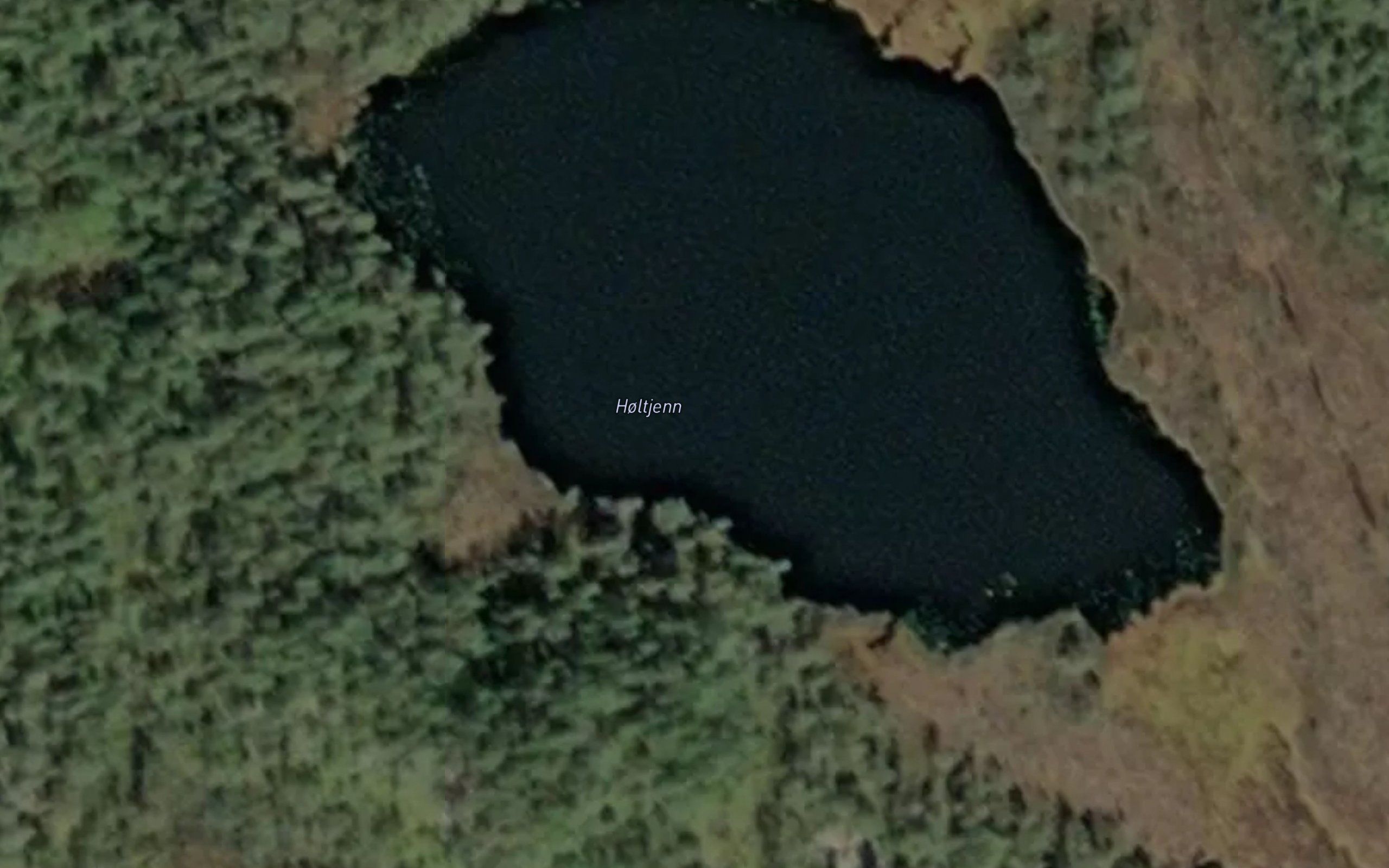 Holtjern