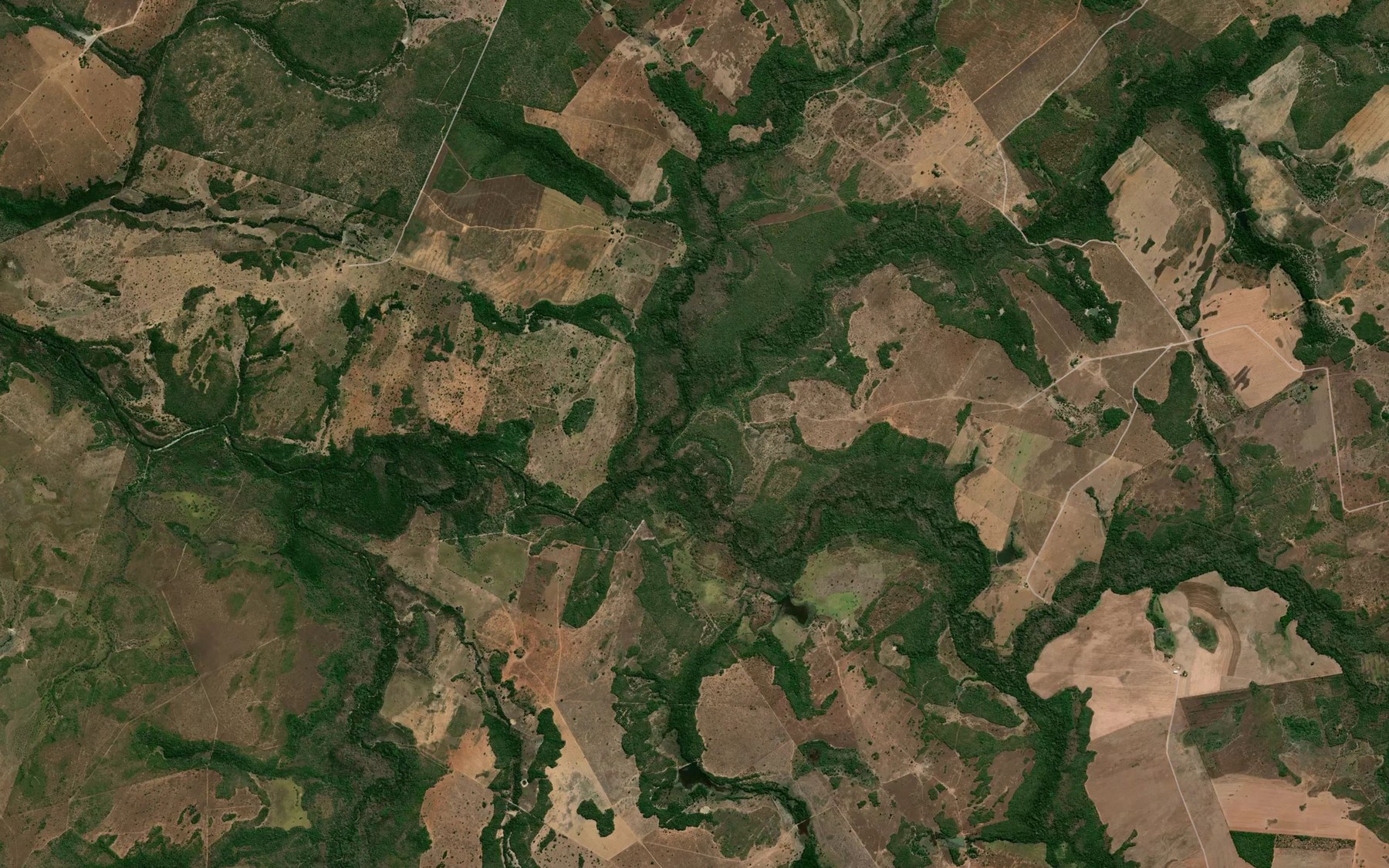 Satellite map of the Rio Feliciano
