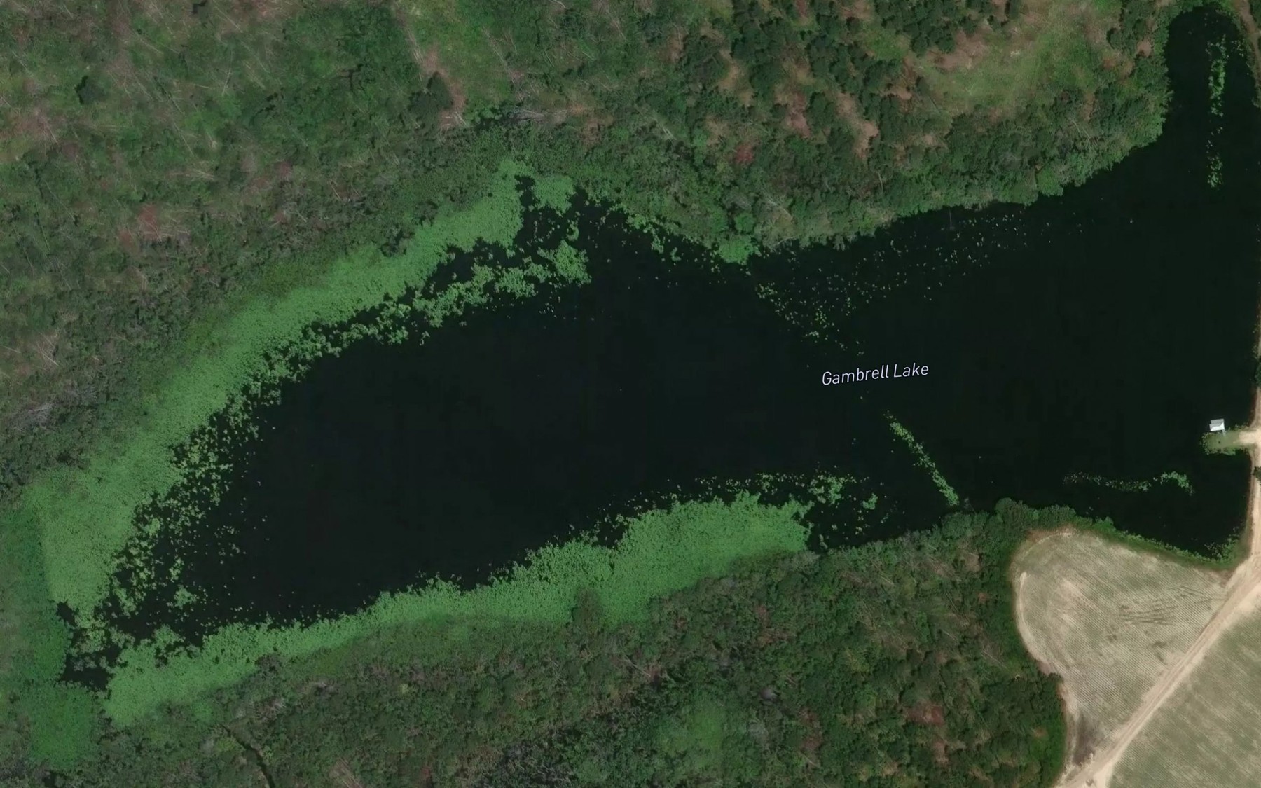 Satellite map of the Gambrell Lake
