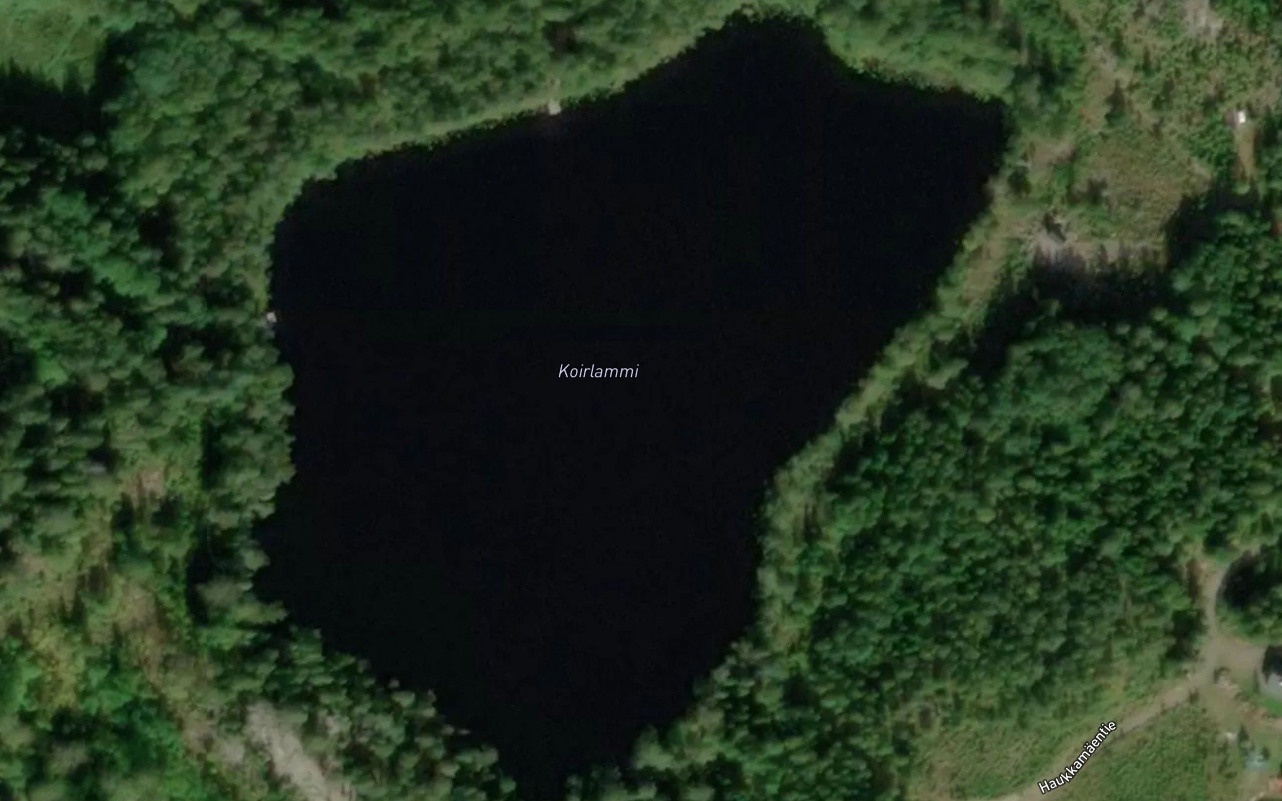 Koirlammi