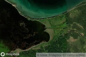 Octopus Creek