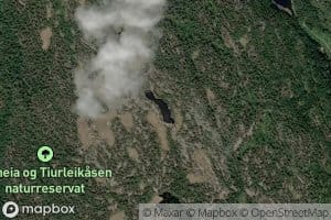 Sandtjorn