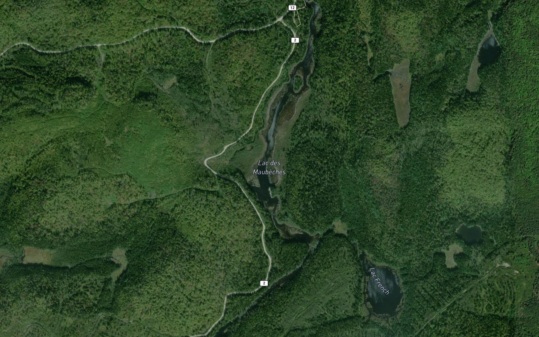 Satellite map of the Lac des Maubeches