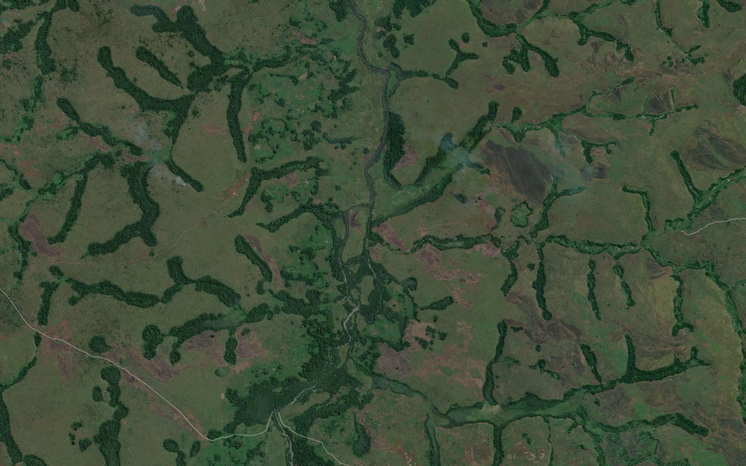Musangweji
