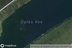 Dales Voe