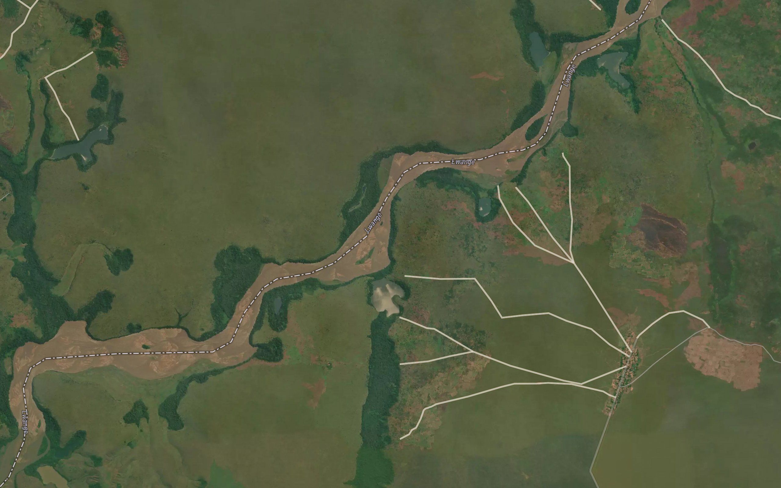 Tshitshi