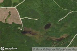 Big Wilder Pond
