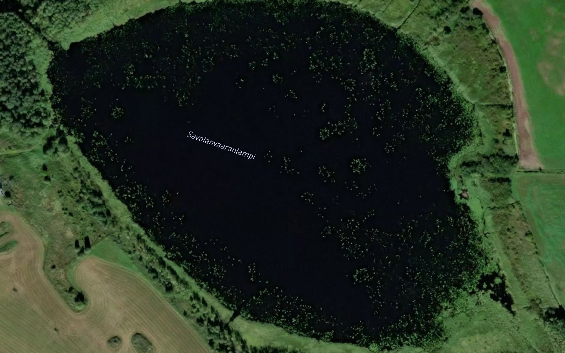 Satellite map of the Savolanvaaranlampi