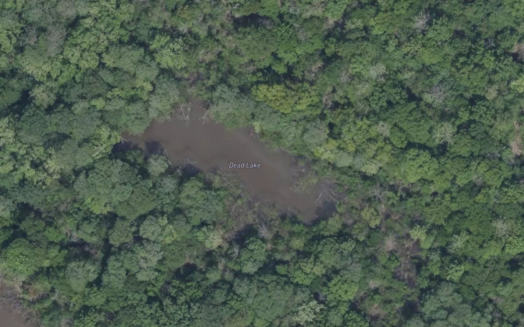 Satellite map of the Dead Lake