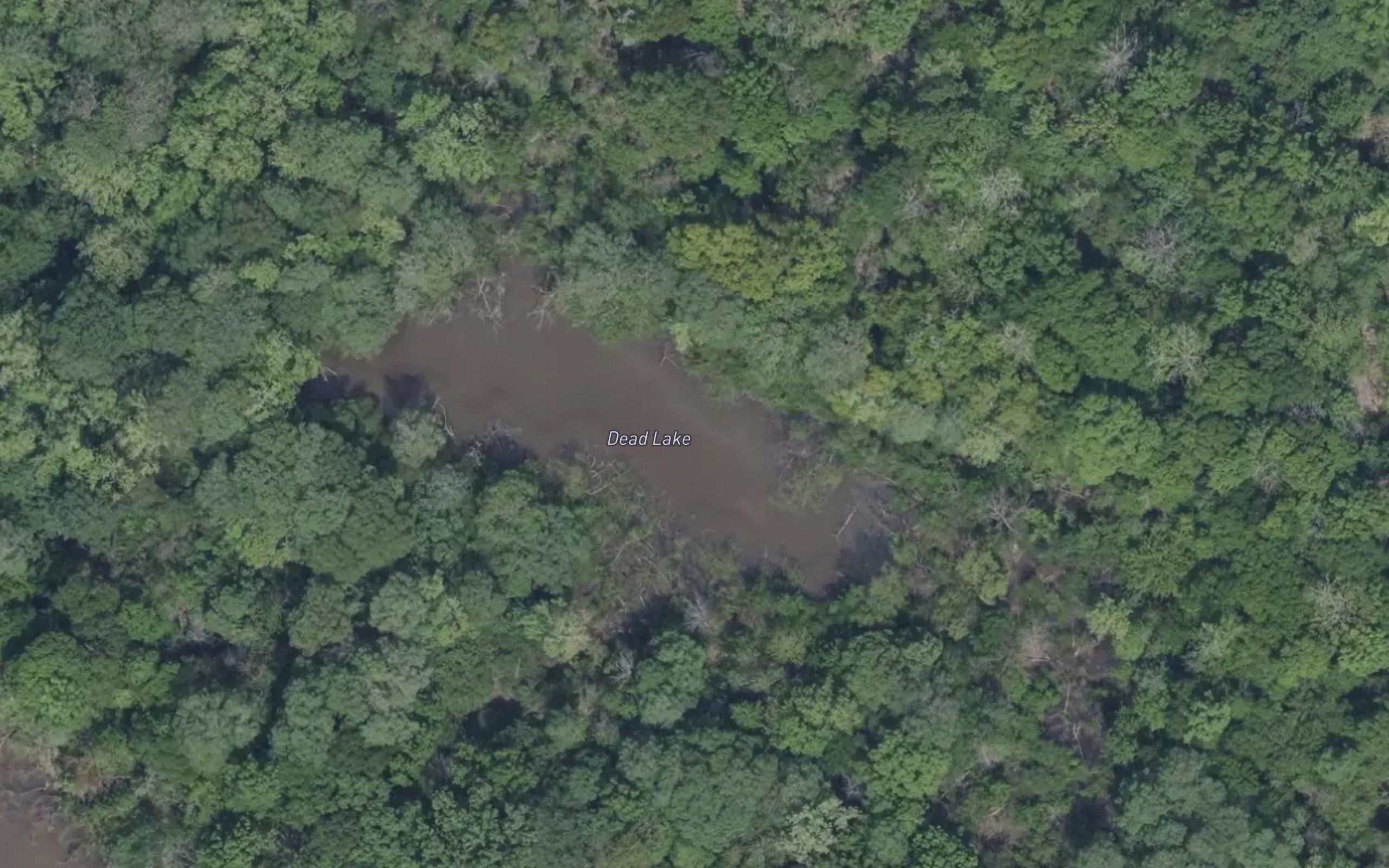 Dead Lake
