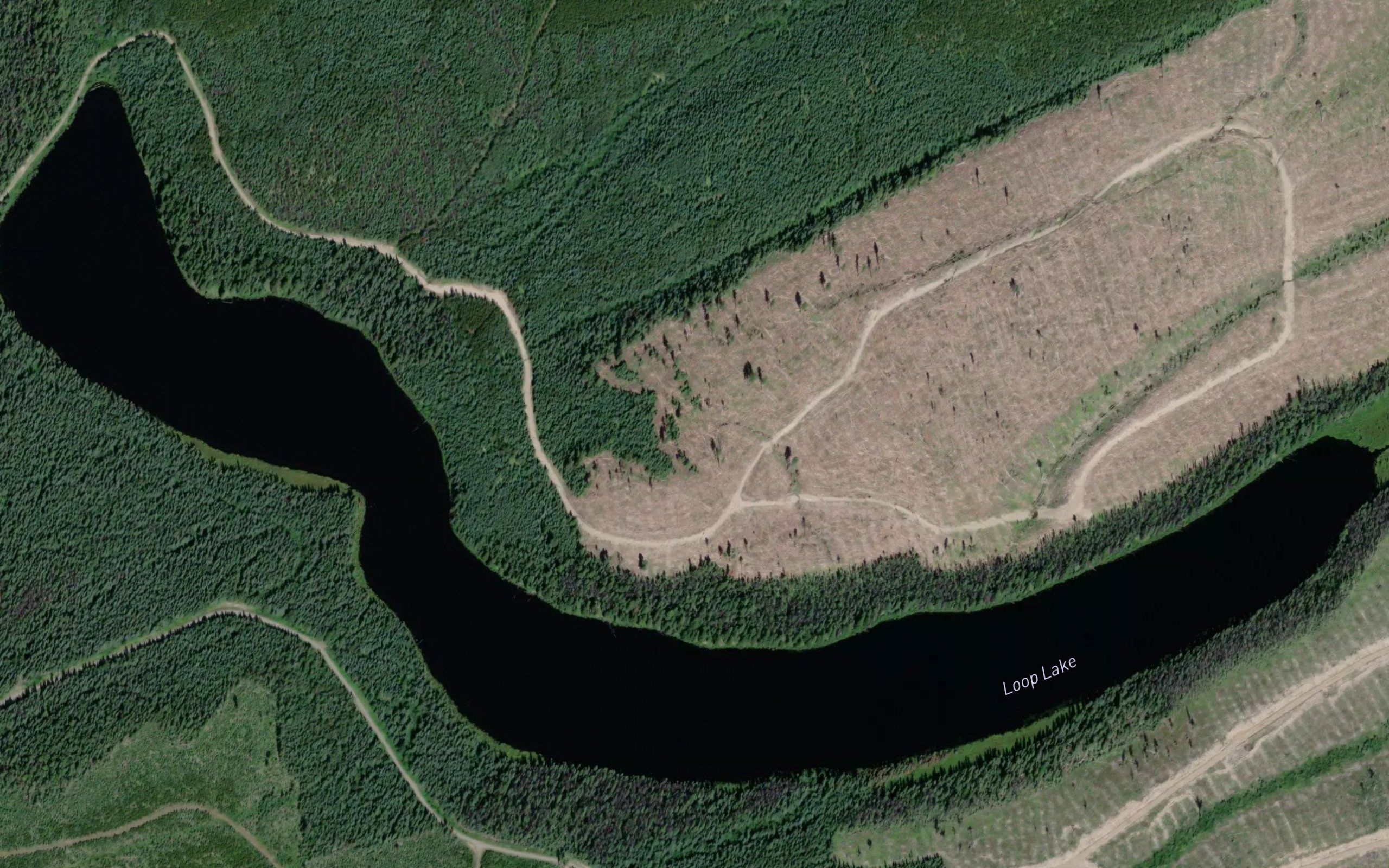 Loop Lake