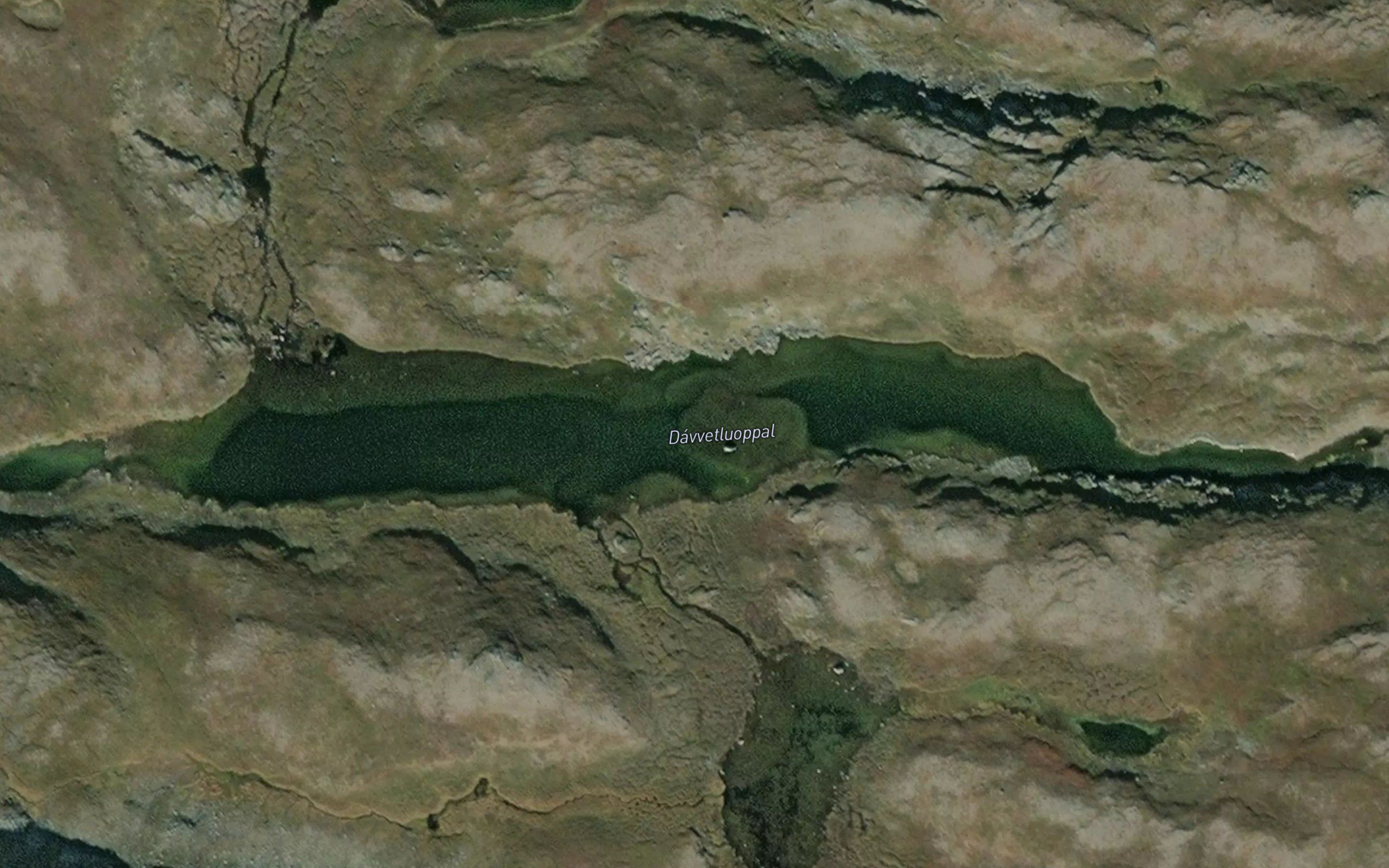 Davvetluoppal